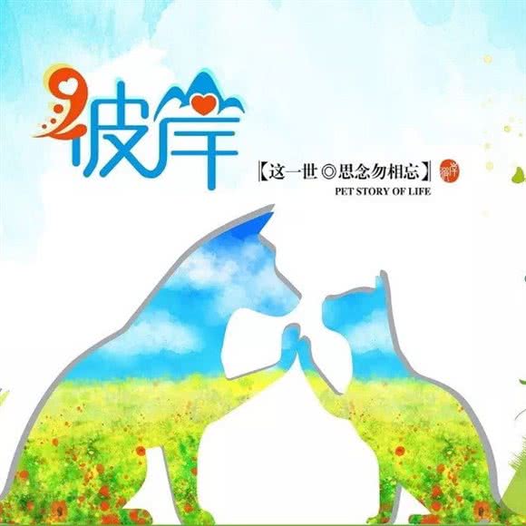 彼岸宠物火化善后殡葬:大连市甘井子区大连北站/南关岭附近