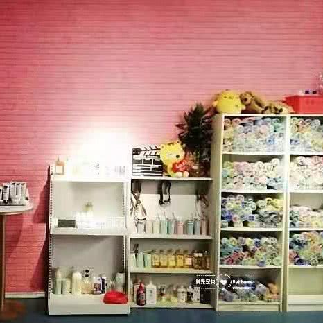 时光宠物:大连市甘井子区高新园区附近