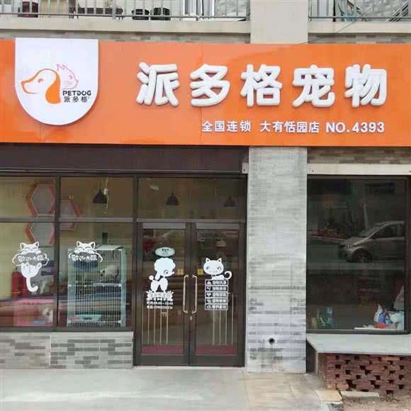 派多格宠物(大有恬园店):大连市甘井子区凌水镇/理工大学附近