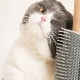 宠物驿站:大连市甘井子区小平岛附近