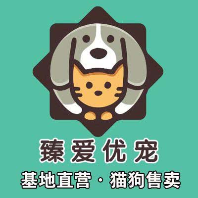 臻爱优宠·猫狗活体售卖(西单店):北京城区西城区西单附近