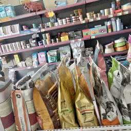 萌宠友佳:大连市旅顺口区旅顺附近