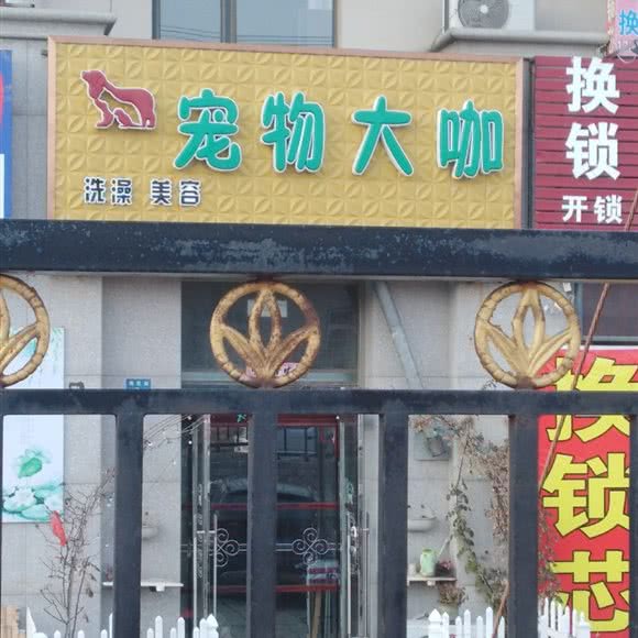 宠物大咖:大连市旅顺口区旅顺附近
