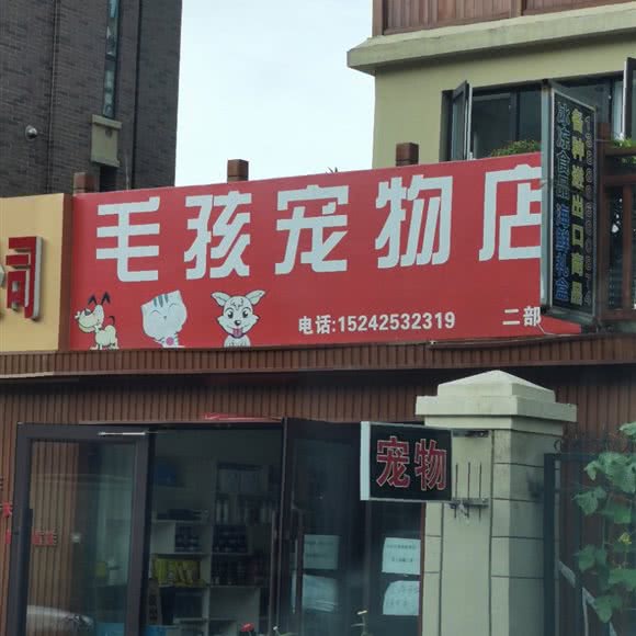 毛孩宠物店(二部):大连市金州区开发区附近