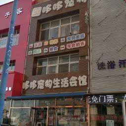 哆哆宠物生活会馆:大连市金州区开发区附近