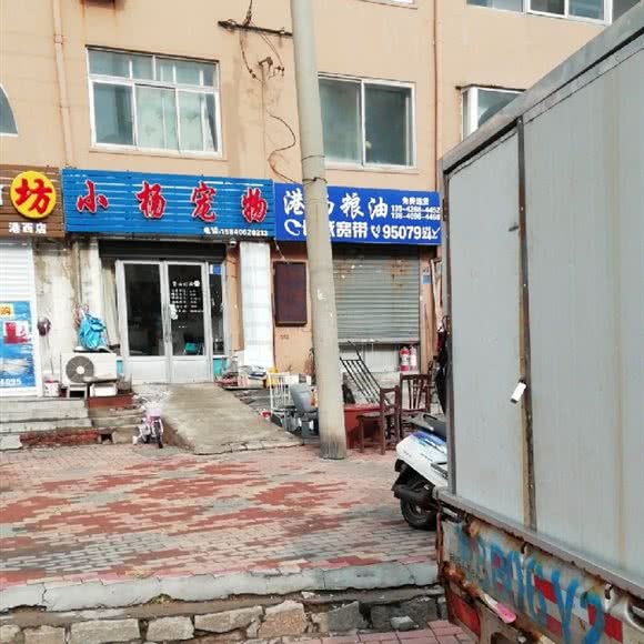 小杨宠物:大连市金州区开发区附近