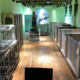 貝萌萌宠物会馆:大连市金州区开发区附近