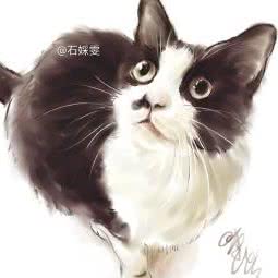 乐丁宠物生活馆:大连市金州区开发区附近