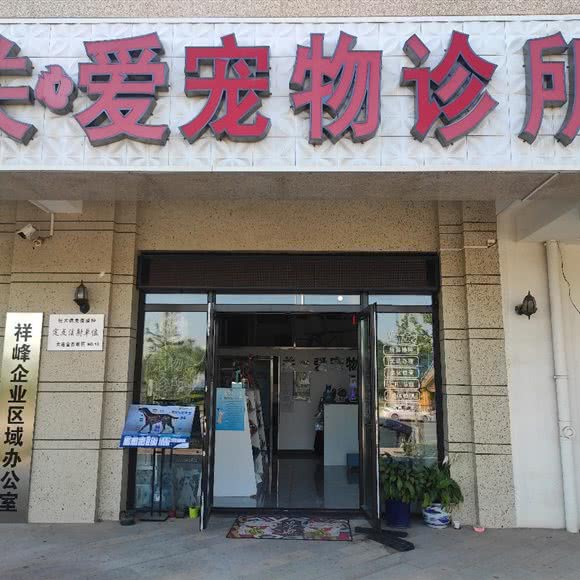 关爱宠物诊所:大连市金州区开发区附近