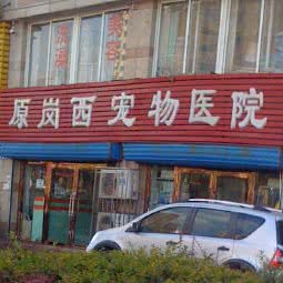 岗西宠物医院:大连市金州区开发区附近