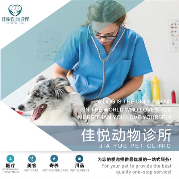 佳悦动物诊所:大连市金州区金石滩旅游度假区附近