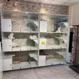 小咖宠屋:大连市金州区双D港附近