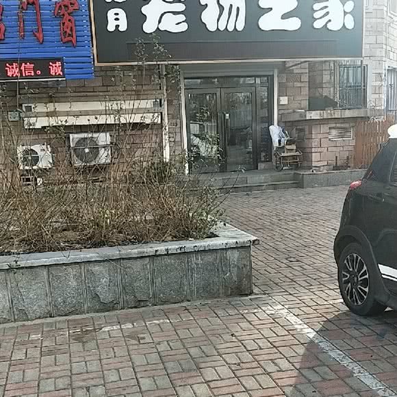 山月宠物之家:大连市金州区双D港附近