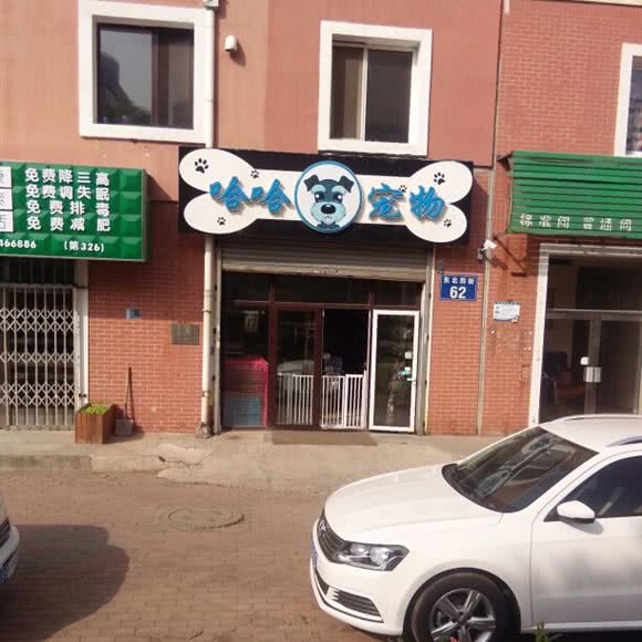 哈哈宠物:大连市金州区保税区附近