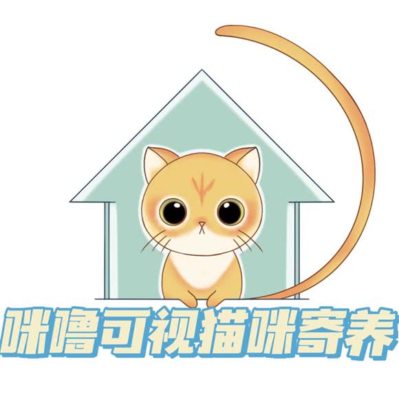 咪噜猫咪托管班:大连市金州区保税区附近
