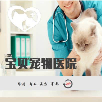 宝贝宠物诊所(庄河店):大连市庄河市城关街道附近