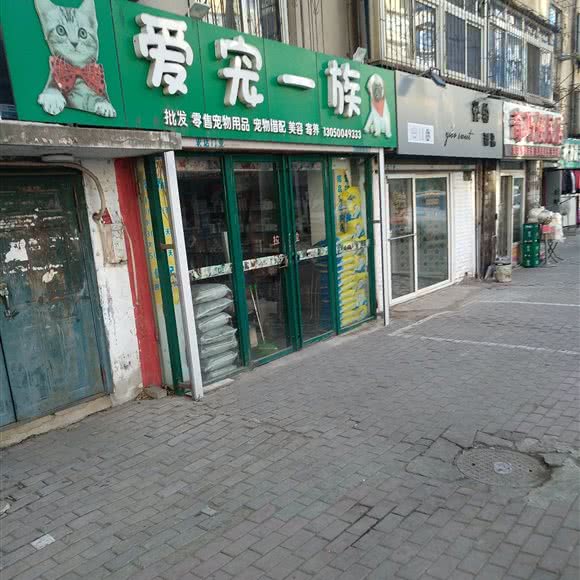 爱宠一族:鞍山市铁东区湖南附近