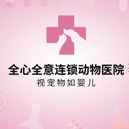 全心全意连锁动物医院(亚运村店):北京城区朝阳区鸟巢/水立方附近