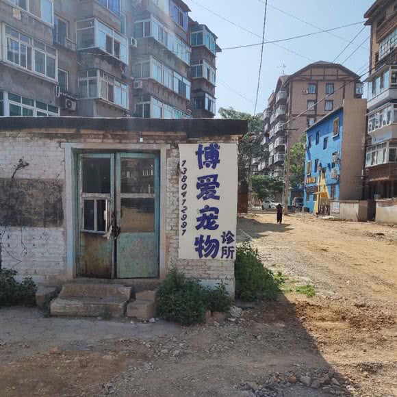 宠物医院:鞍山市铁东区湖南附近