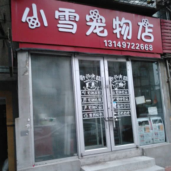 小雪宠物店:鞍山市铁东区胜利路沿线附近