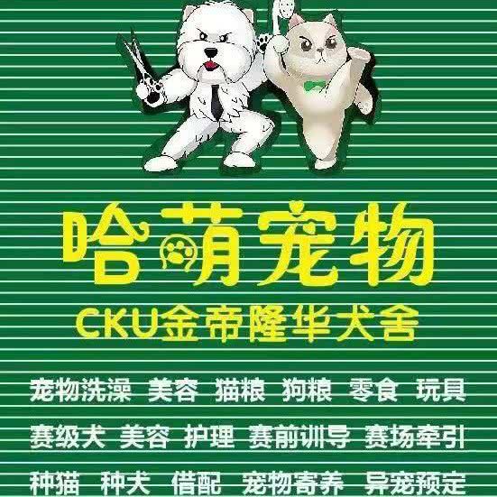 哈萌宠物:鞍山市铁东区胜利路沿线附近