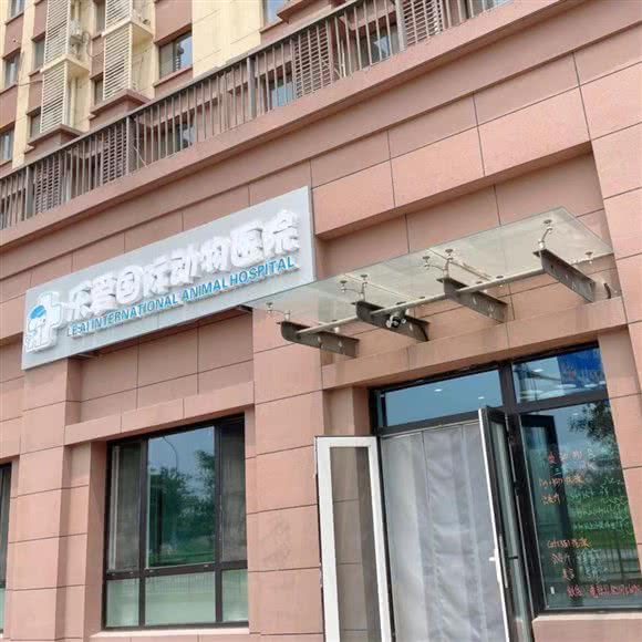 北京乐爱国际动物医院:北京城区朝阳区善各庄附近