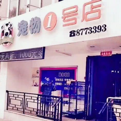 宠物一号店:鞍山市铁东区山南附近