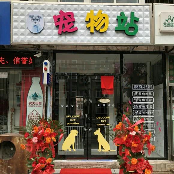 南希宠物狗站:鞍山市铁东区长大附近