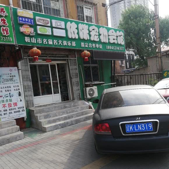 依咪宠物会馆:鞍山市铁东区长大附近