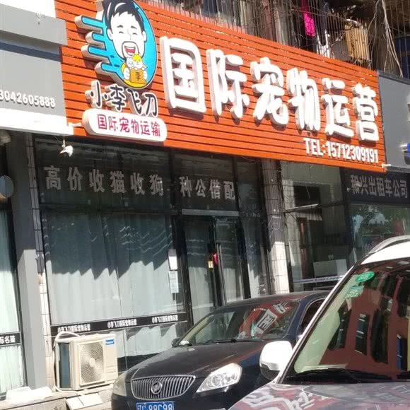 小李飞刀国际宠物运营:鞍山市铁西区人民路沿线附近