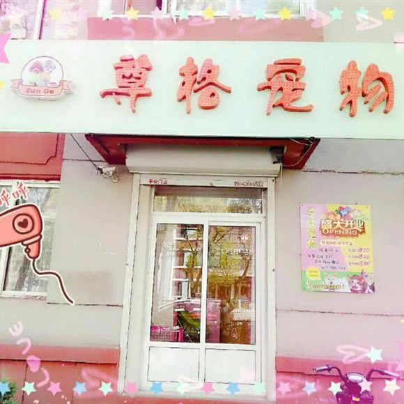 尊格宠物:鞍山市铁西区人民路沿线附近
