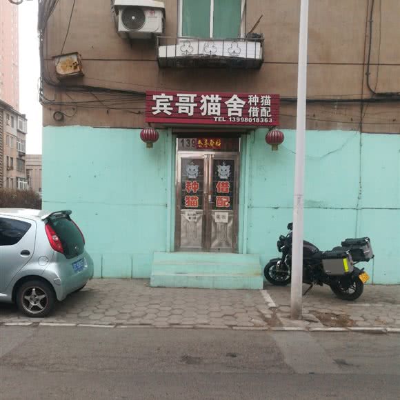 宾哥猫舍:鞍山市铁西区人民路沿线附近
