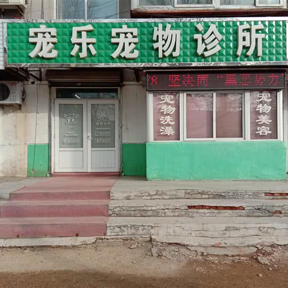 宠乐宠物诊所:鞍山市铁西区千龙户附近