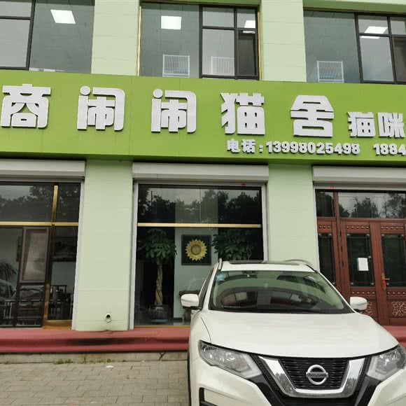 大商闹闹猫舍:鞍山市铁西区永乐公园附近