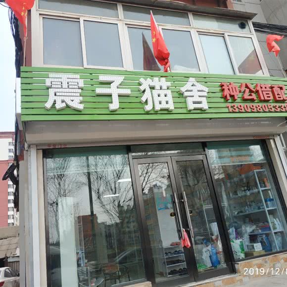 震子猫舍:鞍山市铁西区永乐公园附近