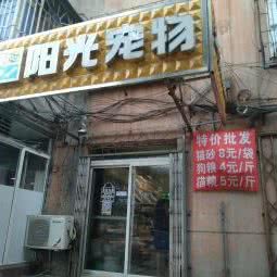 阳光宠物:鞍山市立山区立山附近