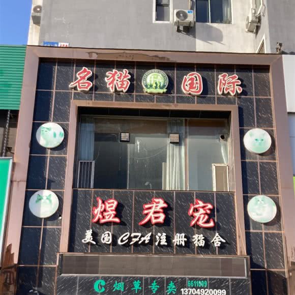 英国CFA猫舍:鞍山市立山区立山附近