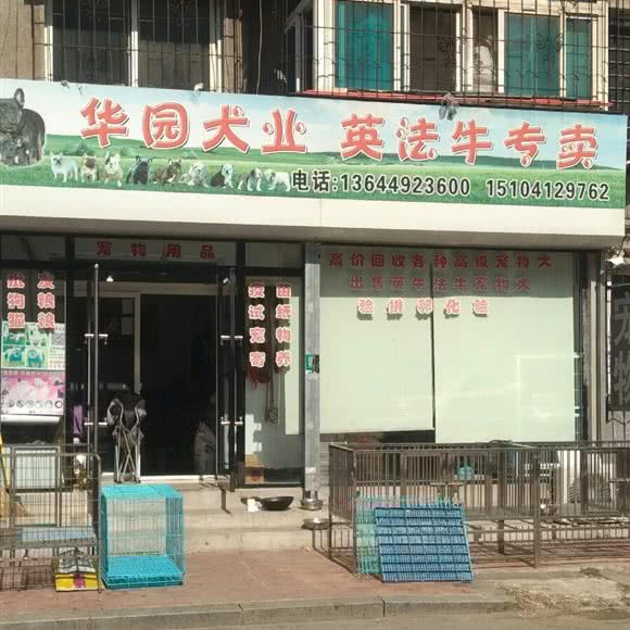 华园犬业英法牛专卖:鞍山市立山区立山附近
