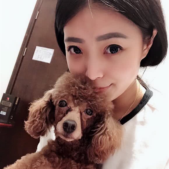 博爱宠物狗诊所:鞍山市立山区深沟寺附近