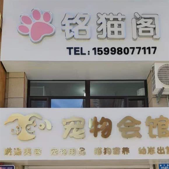 铭猫阁宠物洗澡(立山大润发店):鞍山市立山区太平附近