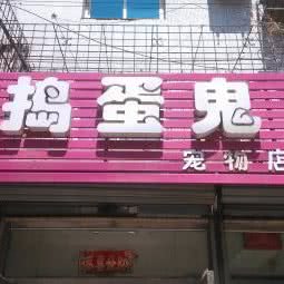 捣蛋鬼宠物店:抚顺市新抚区道街附近