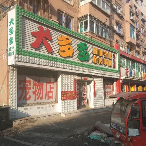 犬多多培训学校配货中心:抚顺市新抚区道街附近