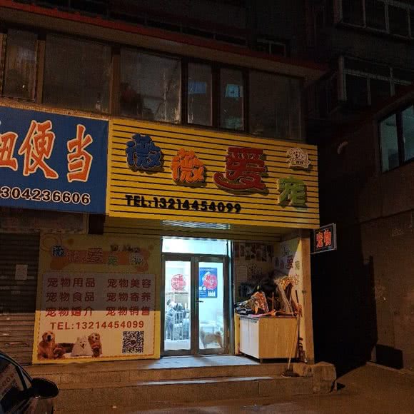 薇薇爱宠:抚顺市新抚区道街附近