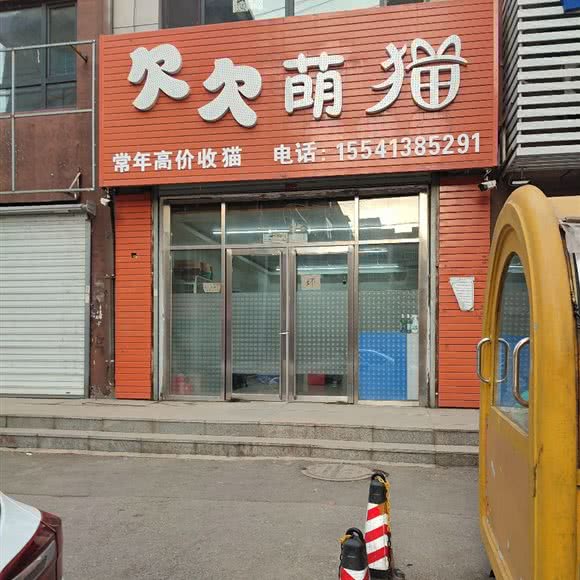 欠欠萌猫:抚顺市新抚区道街附近