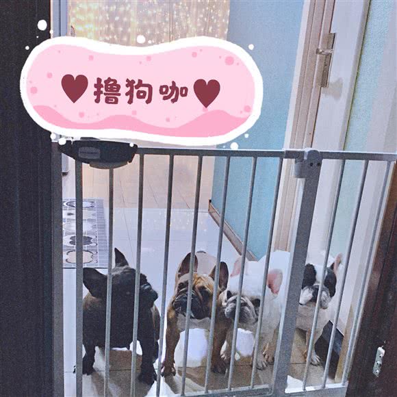 撸狗咖:抚顺市新抚区浙商/天朗附近