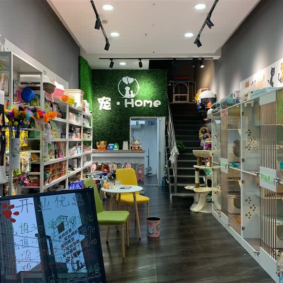 宠·Home:抚顺市新抚区万达广场附近