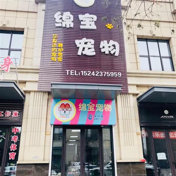 绵宝宠物狗造型:抚顺市新抚区万达广场附近