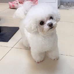 优库宠物用品店:北京城区丰台区方庄/蒲黄榆附近