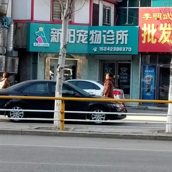 新阳宠物诊所:抚顺市东洲区东洲商场附近