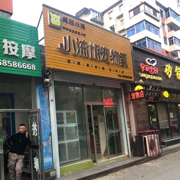 小流氓宠物家:抚顺市望花区丹东路附近